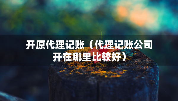 開原代理記賬（代理記賬公司開在哪里比較好）