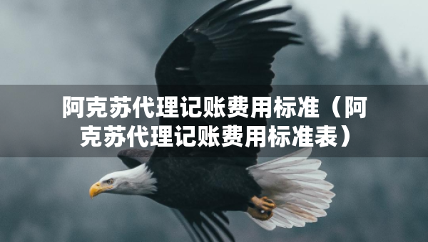阿克蘇代理記賬費(fèi)用標(biāo)準(zhǔn)（阿克蘇代理記賬費(fèi)用標(biāo)準(zhǔn)表）