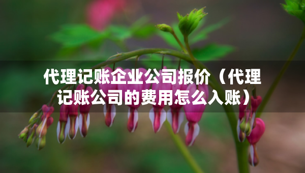 代理記賬企業(yè)公司報價（代理記賬公司的費用怎么入賬）