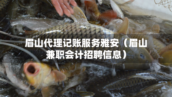 眉山代理記賬服務(wù)雅安（眉山兼職會計招聘信息）