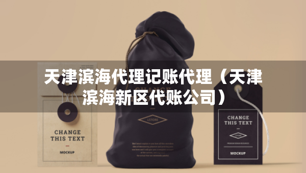 天津?yàn)I海代理記賬代理(天津?yàn)I海新區(qū)代賬公司) 天津?yàn)I海代理記賬代理(天津?yàn)I海新區(qū)代賬公司)