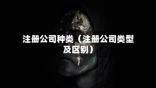 注冊(cè)公司種類(注冊(cè)公司類型及區(qū)別) 注冊(cè)公司種類(注冊(cè)公司類型及區(qū)別)