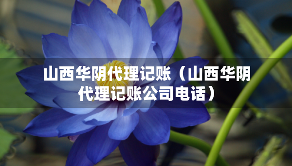 山西華陰代理記賬（山西華陰代理記賬公司電話）