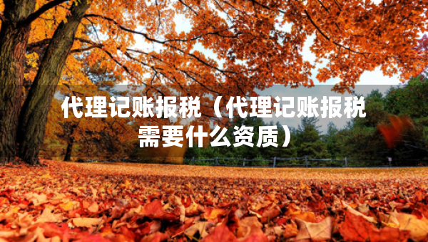 代理記賬報(bào)稅(代理記賬報(bào)稅需要什么資質(zhì)) 代理記賬報(bào)稅(代理記賬報(bào)稅需要什么資質(zhì))