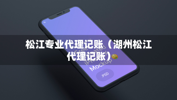 松江專業(yè)代理記賬（湖州松江代理記賬）