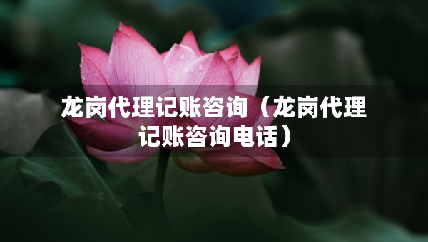 龍崗代理記賬咨詢（龍崗代理記賬咨詢電話）