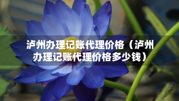 瀘州辦理記賬代理價(jià)格（瀘州辦理記賬代理價(jià)格多少錢）