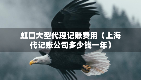虹口大型代理記賬費用（上海代記賬公司多少錢一年）