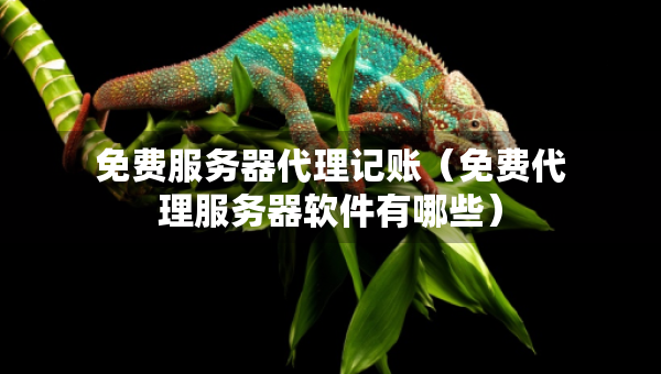 免費(fèi)服務(wù)器代理記賬（免費(fèi)代理服務(wù)器軟件有哪些）