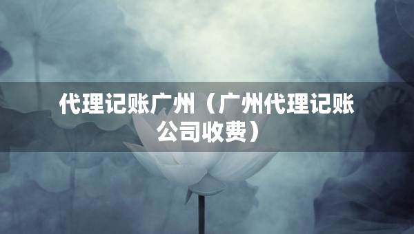 代理記賬廣州（廣州代理記賬公司收費）