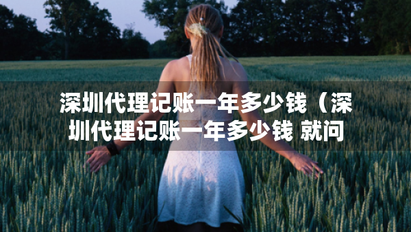 深圳代理記賬一年多少錢（深圳代理記賬一年多少錢 就問三合一企服）