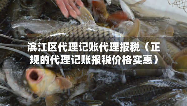 濱江區(qū)代理記賬代理報稅（正規(guī)的代理記賬報稅價格實(shí)惠）