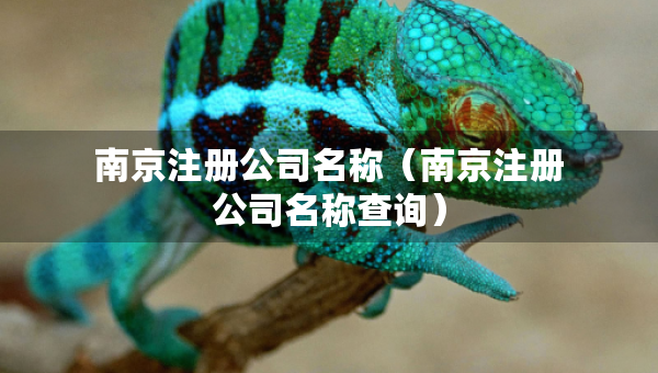 南京注冊公司名稱（南京注冊公司名稱查詢）