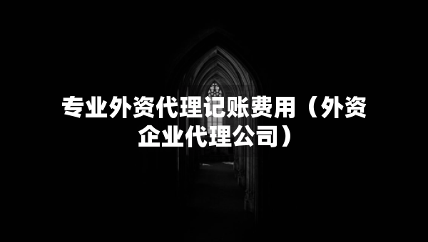 專業(yè)外資代理記賬費(fèi)用（外資企業(yè)代理公司）