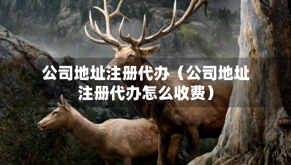 公司地址注冊代辦(公司地址注冊代辦怎么收費) 公司地址注冊代辦(公司地址注冊代辦怎么收費)