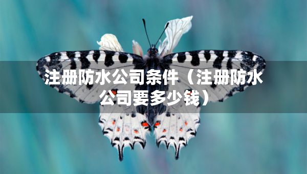 注冊防水公司條件(注冊防水公司要多少錢) 注冊防水公司條件(注冊防水公司要多少錢)