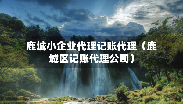 鹿城小企業(yè)代理記賬代理(鹿城區(qū)記賬代理公司) 鹿城小企業(yè)代理記賬代理(鹿城區(qū)記賬代理公司)