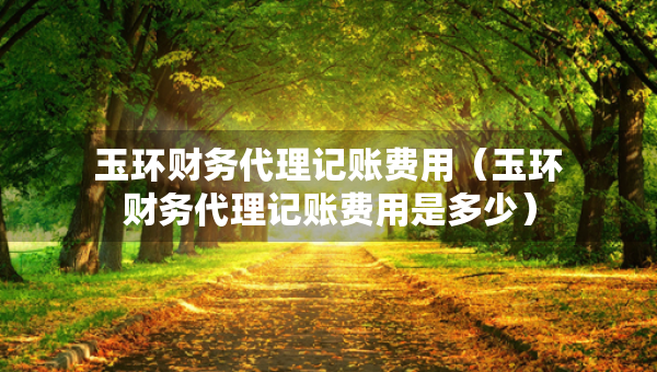玉環(huán)財務(wù)代理記賬費用（玉環(huán)財務(wù)代理記賬費用是多少）