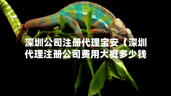 深圳公司注冊(cè)代理寶安（深圳代理注冊(cè)公司費(fèi)用大概多少錢）