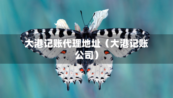 大港記賬代理地址(大港記賬公司) 大港記賬代理地址(大港記賬公司)