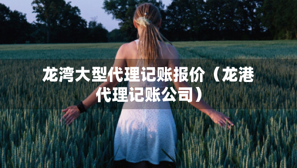 龍灣大型代理記賬報價(龍港代理記賬公司) 龍灣大型代理記賬報價(龍港代理記賬公司)