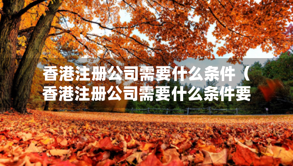 香港注冊公司需要什么條件（香港注冊公司需要什么條件要多少錢）