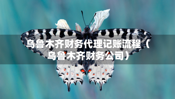 烏魯木齊財務代理記賬流程(烏魯木齊財務公司) 烏魯木齊財務代理記賬流程(烏魯木齊財務公司)