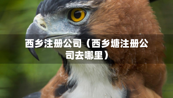 西鄉(xiāng)注冊(cè)公司（西鄉(xiāng)塘注冊(cè)公司去哪里）