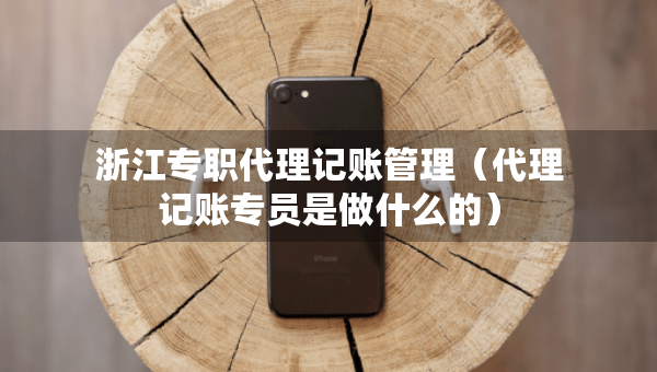 浙江專職代理記賬管理（代理記賬專員是做什么的）