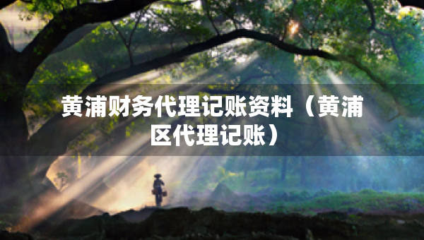 黃浦財(cái)務(wù)代理記賬資料(黃浦區(qū)代理記賬) 黃浦財(cái)務(wù)代理記賬資料(黃浦區(qū)代理記賬)