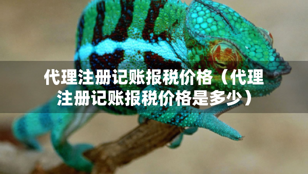 代理注冊記賬報稅價格（代理注冊記賬報稅價格是多少）