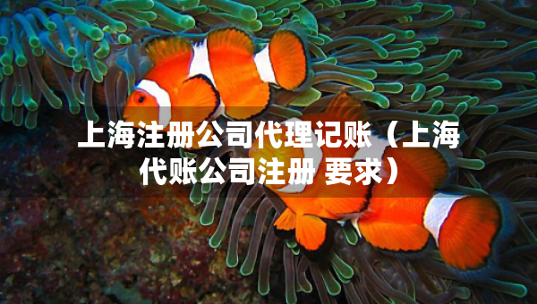 上海注冊公司代理記賬（上海代賬公司注冊 要求）