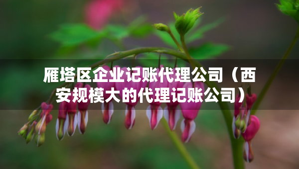 雁塔區(qū)企業(yè)記賬代理公司(西安規(guī)模大的代理記賬公司) 雁塔區(qū)企業(yè)記賬代理公司(西安規(guī)模大的代理記賬公司)