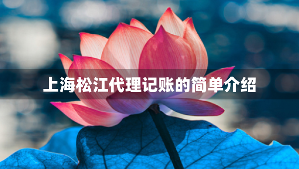 上海松江代理記賬的簡單介紹