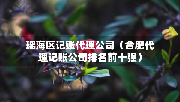 瑤海區(qū)記賬代理公司（合肥代理記賬公司排名前十強(qiáng)）