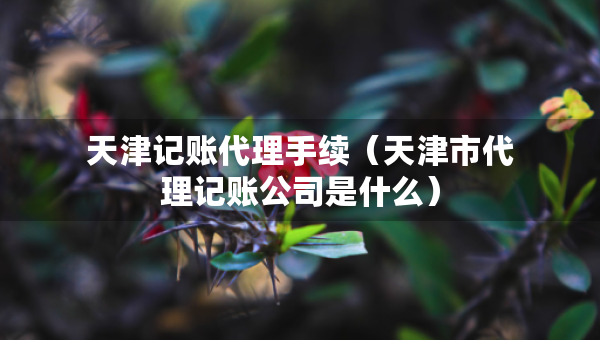 天津記賬代理手續(xù)（天津市代理記賬公司是什么）