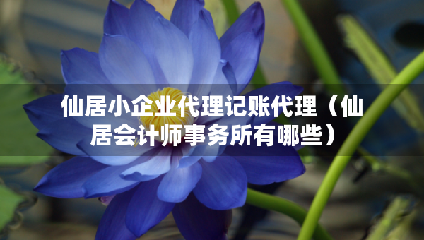 仙居小企業(yè)代理記賬代理（仙居會(huì)計(jì)師事務(wù)所有哪些）