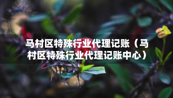 馬村區(qū)特殊行業(yè)代理記賬（馬村區(qū)特殊行業(yè)代理記賬中心）