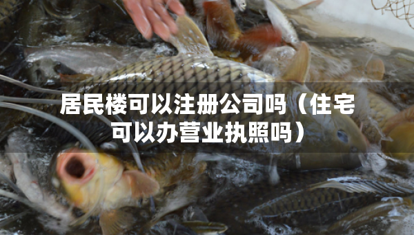居民樓可以注冊公司嗎（住宅可以辦營業(yè)執(zhí)照嗎）
