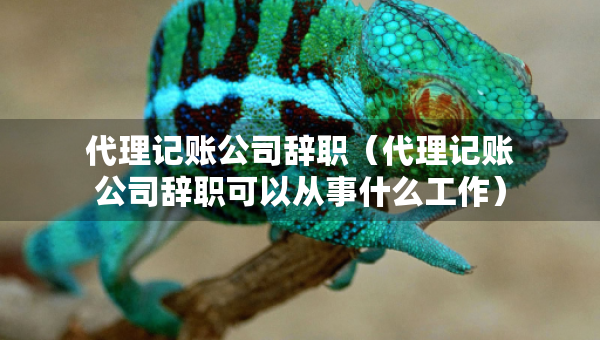 代理記賬公司辭職（代理記賬公司辭職可以從事什么工作）