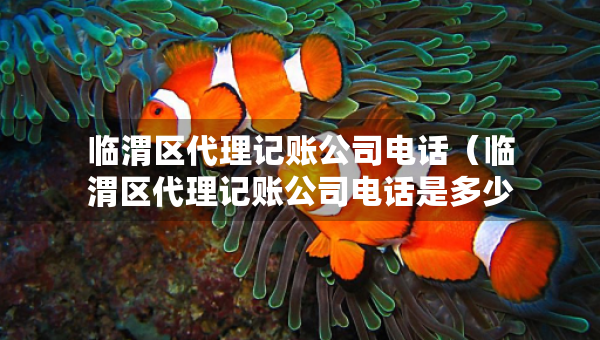 臨渭區(qū)代理記賬公司電話（臨渭區(qū)代理記賬公司電話是多少）