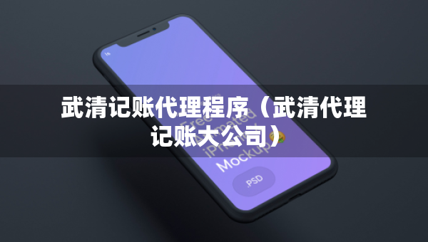 武清記賬代理程序（武清代理記賬大公司）
