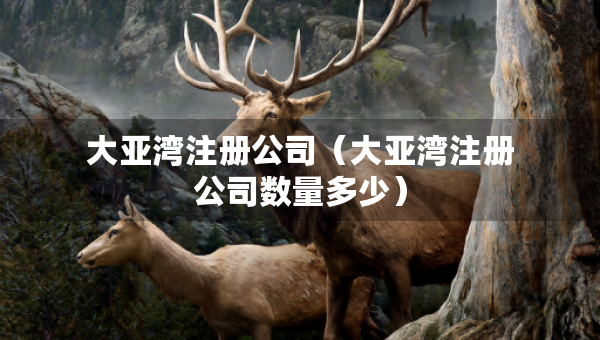 大亞灣注冊公司（大亞灣注冊公司數(shù)量多少）