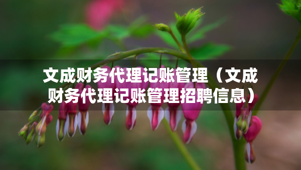 文成財務(wù)代理記賬管理(文成財務(wù)代理記賬管理招聘信息) 文成財務(wù)代理記賬管理(文成財務(wù)代理記賬管理招聘信息)