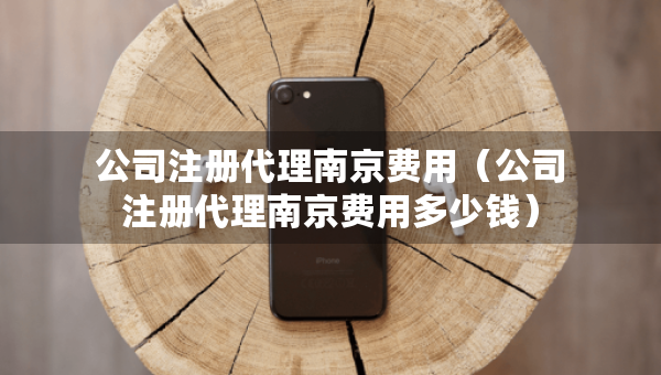 公司注冊代理南京費(fèi)用(公司注冊代理南京費(fèi)用多少錢) 公司注冊代理南京費(fèi)用(公司注冊代理南京費(fèi)用多少錢)