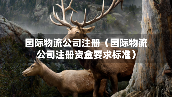 國際物流公司注冊（國際物流公司注冊資金要求標(biāo)準(zhǔn)）
