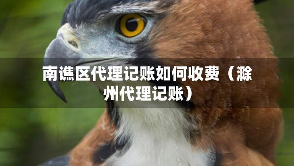 南譙區(qū)代理記賬如何收費(fèi)（滁州代理記賬）