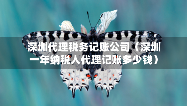 深圳代理稅務(wù)記賬公司（深圳一年納稅人代理記賬多少錢）