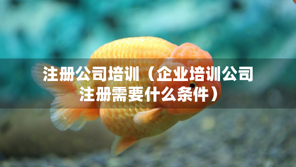 注冊公司培訓(xùn)（企業(yè)培訓(xùn)公司注冊需要什么條件）
