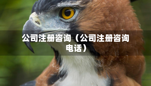 公司注冊咨詢（公司注冊咨詢電話）